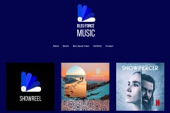 vignette du site